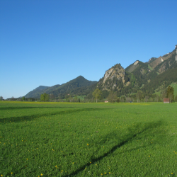 Neuschwanstein  Picture 148.jpg